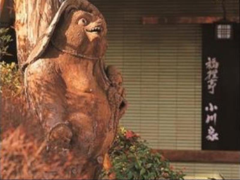 Hotel Ogawaya Izunokuni Esterno foto